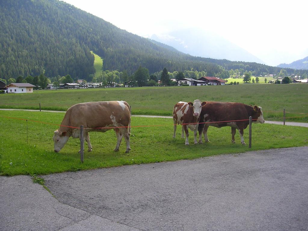 Gaestehaus Bodnerlehen 호텔 Schönau am Königssee 객실 사진
